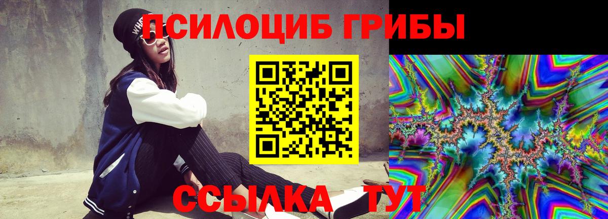 Псилоцибиновые грибы Psilocybine cubensis Куйбышев